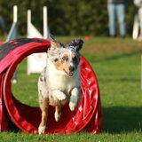 Kiara in actie!