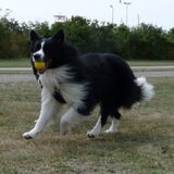 Foto van peggy