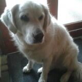 Amber 9jaar
