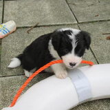 Foto van Vivian   <3    Sem