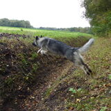 Foto van nicky