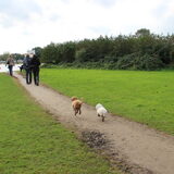 Foto van Inge, baasje van Gina, Flynn en Wobbe