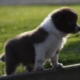 Foto van aurelien pyck