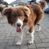 Foto van aurelien pyck