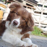 Foto van aurelien pyck