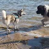 Foto van Tiffani & Pepper