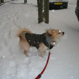 Lekker in de sneeuw