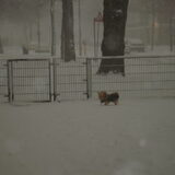 Foto van Sanne (en Toby)