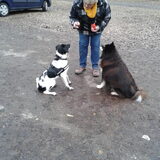 Bacchus met Digger wachten op een snoepje.