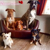 Foto van Dreamteam