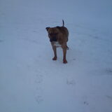 King is echt te gek!