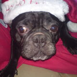 Merry Xmas 2 everybody!!!!