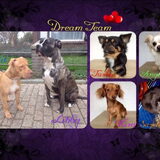 Foto van Dreamteam