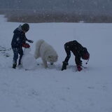 Foto van Martina en Chinook