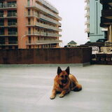Caya op een balkon in Jesolo[italië]