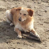 Foto van Hans