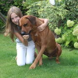 November dag 1, Mijn hond, mijn vertrouw.