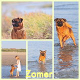 Zomer
