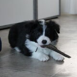 Foto van Vivian   <3    Sem