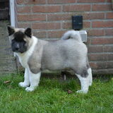 Foto van Takara ( en Caesar R.I.P.).