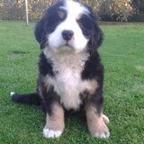 Flor 7 weekjes.