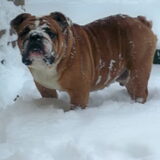 Foto van marian
