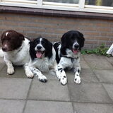 Foto van Michelle & Bentley