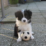 Foto van Vivian   <3    Sem