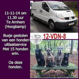 Foto van Sally