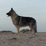 Foto van nicky
