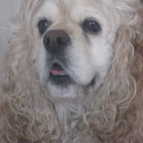 Lady RIP
