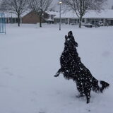 Foto van Marleen & Mavis
