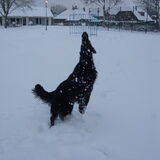 Foto van Marleen & Mavis