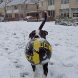 Groot plezier in de sneeuw! : - )