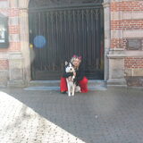 Chillen met Hayl op 1 van onze we weten nog niet waar we eindigen…