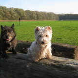 Foto van Heidi & Noortje