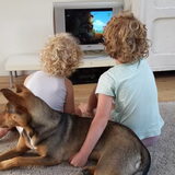 Jim (hondje van mijn zus)