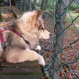 Misa in de dierentuin!