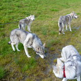 Familie op bezoek.