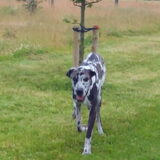 Onze Marvin