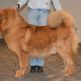 Chengdu des Mille Vallees
