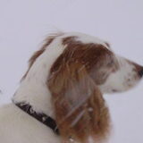 Foto van Liesbeth/Skinny