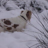 Foto van Liesbeth/Skinny