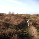 Foto van Vera met Abby & Cantor !
