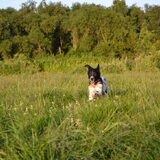 Foto van Michelle & Bentley