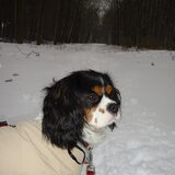 Foto van Kelly en Scylla