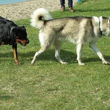 Foto van Tiffani & Pepper
