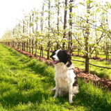 Foto van Angelique; Bruno, Charlie & Fenna