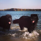 Foto van Anouk & Balou<3