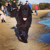 Foto van Anouk & Balou<3
